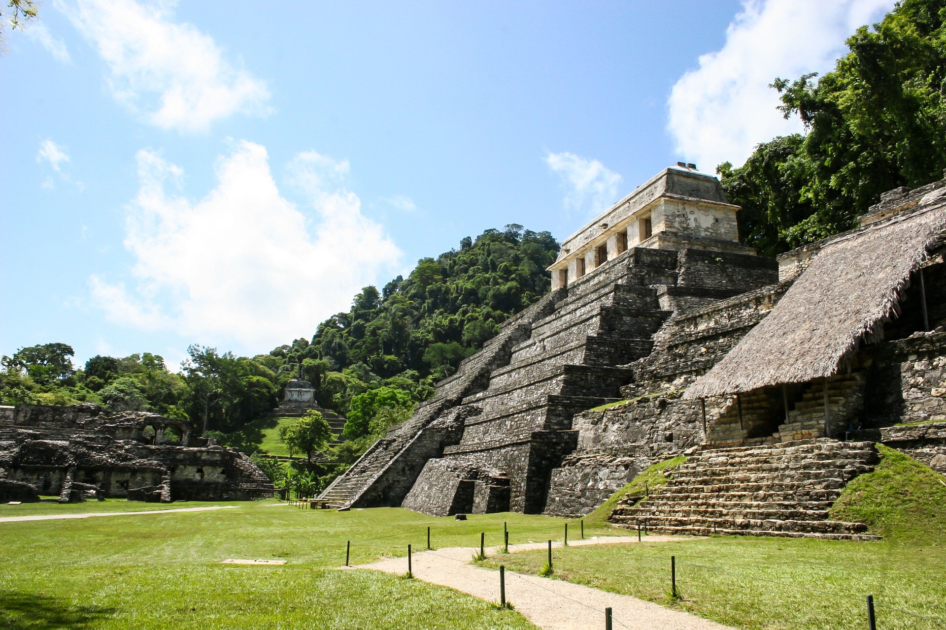The impressive ancient Mexican temples of Palenque stand amidst the dense tropical jungle, showcasing the rich history of Maya civilization