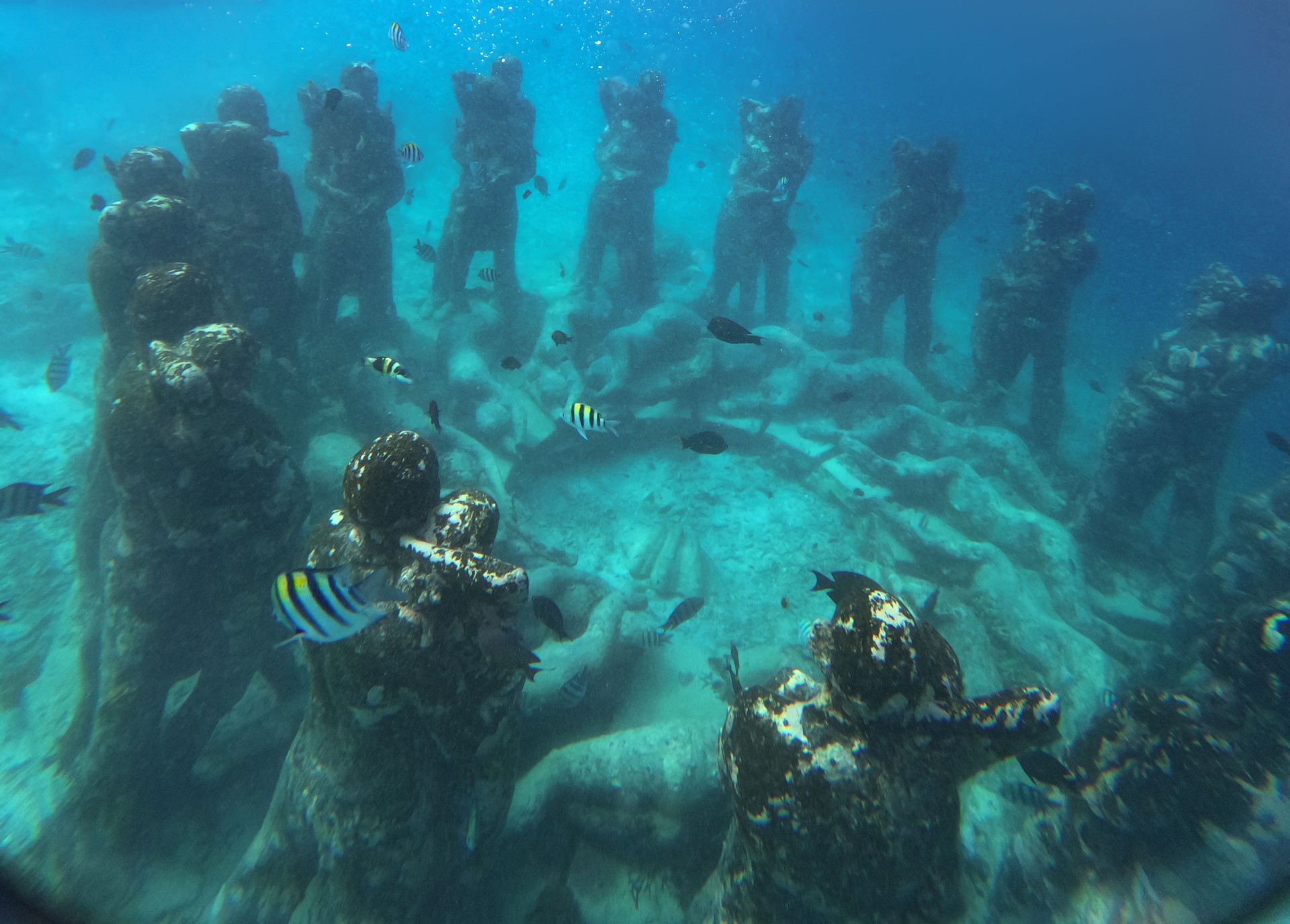 The underwater sculpture group the Nest near Gili Meno Island, a popular tourist spot for underwater